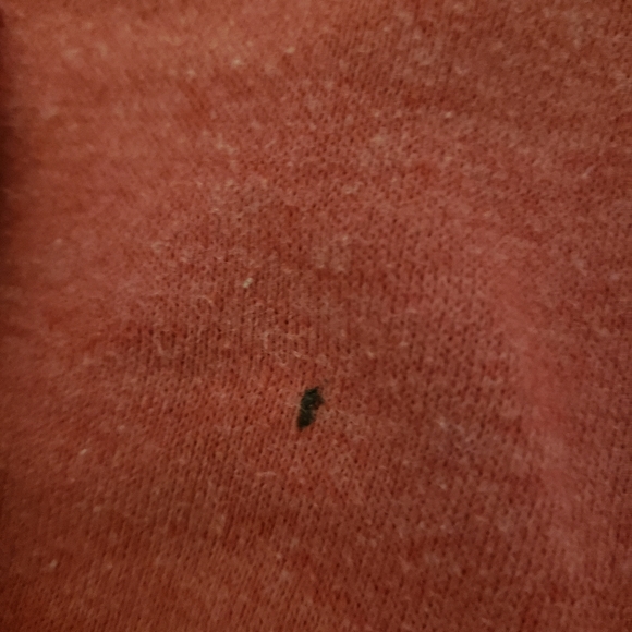 Women Preowned BOSS Joggers - Picture 5 of 5